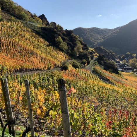 Vier Pootenweg Attendorn